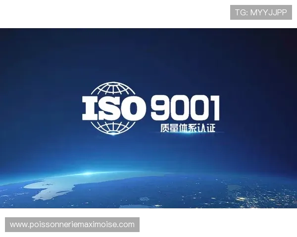 凯发真人官网最新注册流程详解与账号安全保障指南